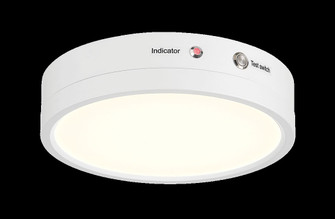 Artemis LED Flushmount (40|47414-013)