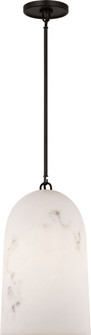 Savina One Light Pendant in Aged Iron | Aged Iron (454|CP1491AI)