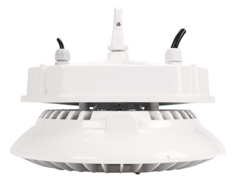 LED High Bay in White (387|HBLED-PT150W5000)