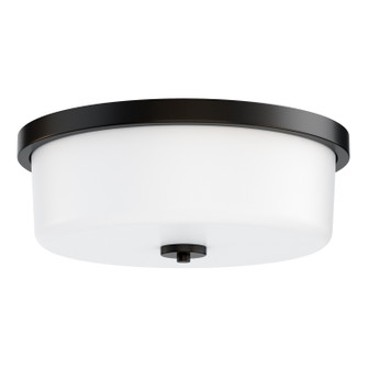 Fuller Three Light Flush Mount in Black (16|5693WTBK)