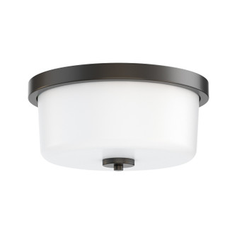 Fuller Two Light Flush Mount in Black (16|5691WTBK)