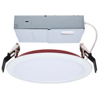 LED Downlight in White / Red (230|S11869R1)