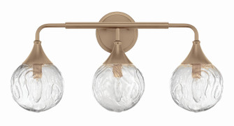 Reflection Three Light Vanity in Premium Bronze (46|61203-CPZ)