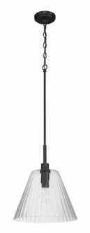 Pleated One Light Pendant in Flat Black (46|61192-FB)