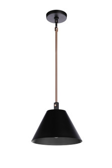Blake One Light Pendant in Flat Black/Satin Brass (46|60991-FBSB)