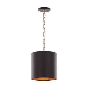 Cannery One Light Pendant in Dark Bronze / French Gold (137|323M01DBFG)