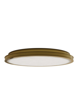 Aydan LED Flush Mount in Natural/Polished Antique Brass (142|9999-0084)