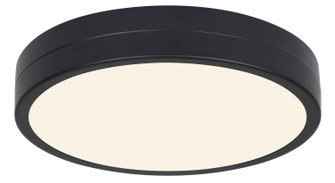 Briar LED Flush Mount in Matte Black (387|CL-25F-12-BK-C)