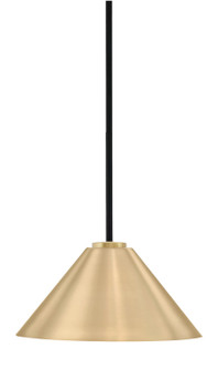 Sandia One Light Pendant in Matte Black & New Age Brass (200|6201-MBNAB-420-NAB)