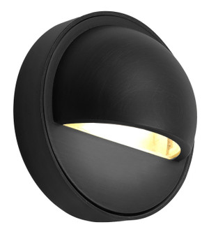 Wall Mounted Light (509|ILS-WM100-BK)