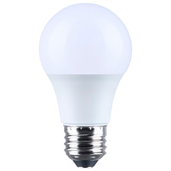 Light Bulb in Frost (230|S14318)