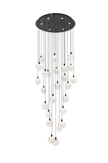 Avery LED Chandelier in Black (173|1012G36BK-11ST)