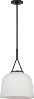 Liora One Light Pendant in Aged Iron (454|SCRJPD166AIOEG)