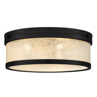 Micah LED Flush Mount in Matte Black (10|MICA1616MBK)