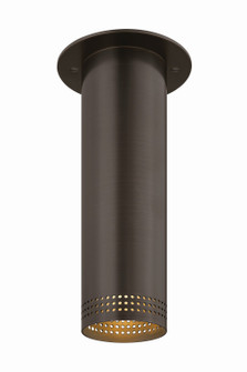 Berg One Light Flush Mount in Bronze (67|C1507-BRZ)