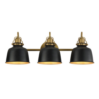 Hollis Three Light Wall Sconce in Natural Aged Brass (16|21423BKNAB)