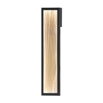 Celeste LED Outdoor Wall Sconce in Black (86|E30324-112BK)