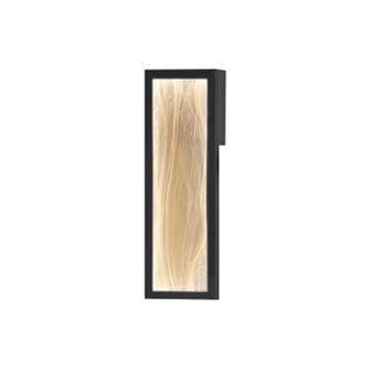 Celeste LED Wall Sconce in Black (86|E30322-112BK)