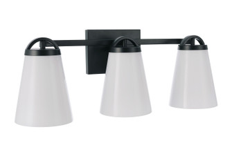 Zane Three Light Vanity in Flat Black (46|20723FB3)