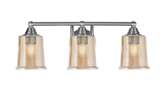 Paramount Three Light Bath Bar in Brushed Nickel (200|3423-BN-5033)