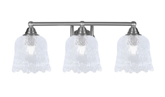 Paramount Three Light Bath Bar in Brushed Nickel (200|3423-BN-4230)