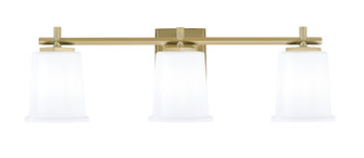 Franklin Three Light Bath Bar in New Age Brass (200|1213-NAB-5031)