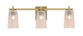 Franklin Three Light Bath Bar in New Age Brass (200|1213-NAB-263)