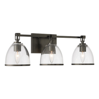 Wynnfrost Three Light Vanity in Rustic Gun Metal (7|15023-749)