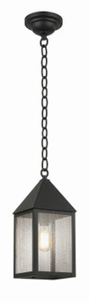 Ashford One Light Pendant in Matte Black (405|9522-BK-SDY)