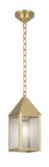 Ashford One Light Pendant in Antique Brass (405|9522-AB-SDY)