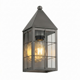Ashford One Light Wall Sconce in Gunmetal (405|9521-H-GM-CL)