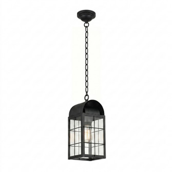 Durham One Light Pendant in Matte Black (405|9122-H-BK-CL)