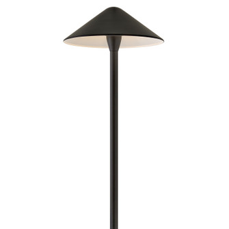Hardy Island LED Path Light in Brass Satin Black (13|16024BSK-LL)