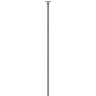 Calie LED Path Light in Black (13|15695BK)