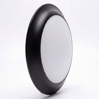 Light Bulb in Black (427|773293)