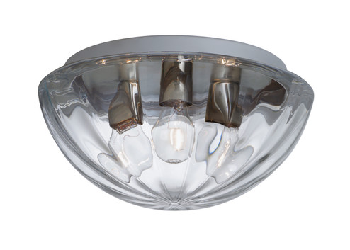 Pinta Ceiling Mount (74|906388C)