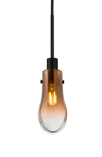 Wish One Light Pendant in Black (74|J-WISHAM-BK)