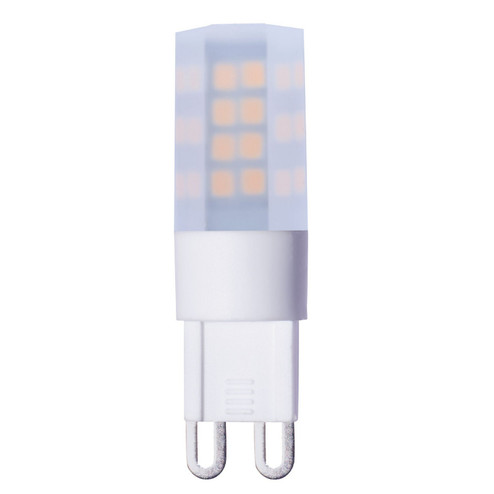 Specialty Light Bulb in Frost (427|770591)