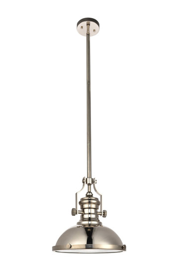 Eamon One Light Pendant in POLISHED Nickel (173|LD5001D13PN)