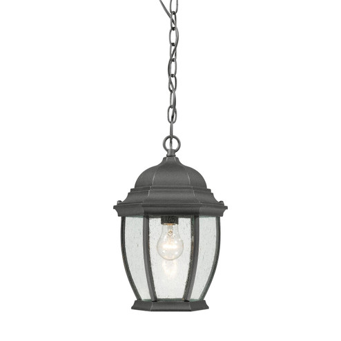 Covington One Light Pendant in Black (45|SL92337)