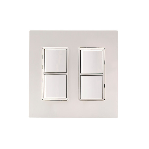 Dual Duplex Switch Wall Plate And Gang Box in Stainless Steel (40|EFDWPS)