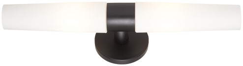 Saber Two Light Wall Sconce in Coal Black (42|P5042-66A)