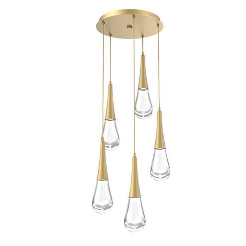 Raindrop LED Pendant in Gilded Brass (404|CHB0078-05-GB-C-C01-L1)