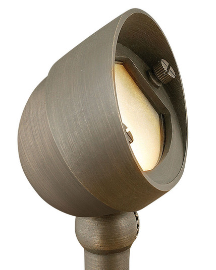 Hardy Island Accent Spot Light LED Flood Light in Matte Bronze (13|16571MZ-LL)