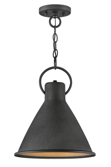 Winnie LED Pendant in Aged Zinc (13|3557DZ)