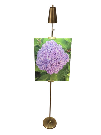 River North LED Floor Lamp in Antique Brass/Satin Brass (30|RN301-AB/SB)