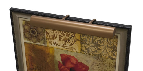 Classic Traditional Three Light Picture Light in Bronze (30|T21-5-CA)