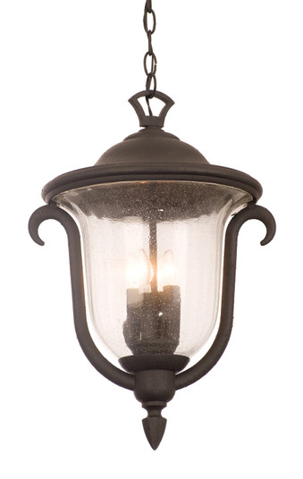 Santa Barbara Outdoor Three Light Outdoor Hanging Lantern in Textured Matte Black (33|9007MB)