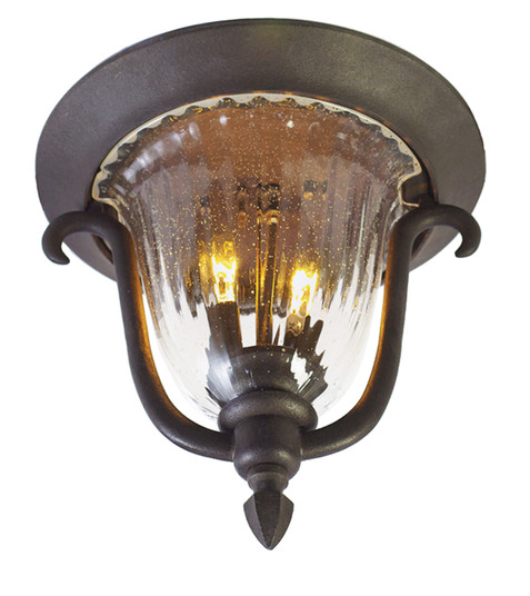 Santa Barbara Outdoor Two Light Outdoor Flush Mount in Textured Matte Black (33|9017MB)
