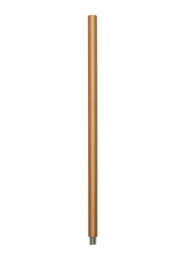 Accessory Stem in Classic Gold (12|2999CLG)